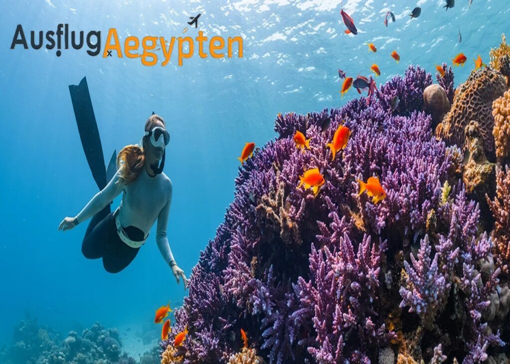 Schnorcheln in Hurghada: Die besten Riffe für Anfänger mit bunten Korallen